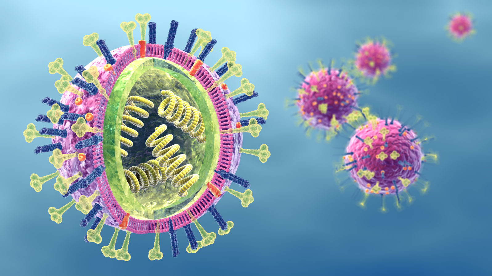 Flu. Influenza viruses with RNA, surface proteins hemagglutinin and neuraminidase,  medically 3D illustration